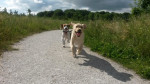 Senna en Mees